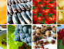 agroalimentare-foto-composizione-agricoltrua-sicilia-pesca