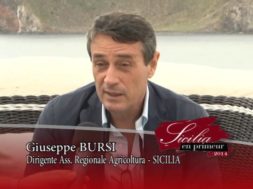 Nella splendida cornice delle Isole Eolie si è tenuta l’edizione 2014 di Sicilia en Primeur