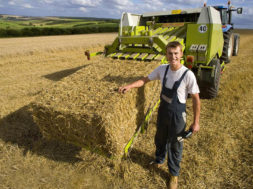 Agricoltura, il sud cresce mettendo in campo le sue migliori risorse i giovani