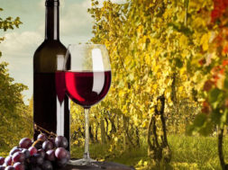Territori, biodiversità e tradizione enologica il valore aggiunto del terroir siciliano_vino bottiglia uva vigneto