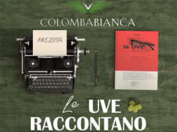 Colomba-Bianca-Le-Uve-Raccontano