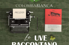 Colomba-Bianca-Le-Uve-Raccontano