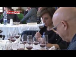 Enodamiani, anteprima sulle produzioni vitivinicole siciliane, degustati 150 vini dell’ultima vendemmia