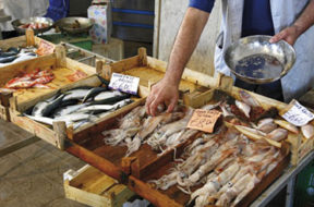 mercato-pesce-fresco-peso-pesce