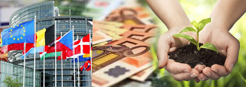 Fondi UE, l’on. Giuffrida sollecita sinergie in difesa della politica di coesione