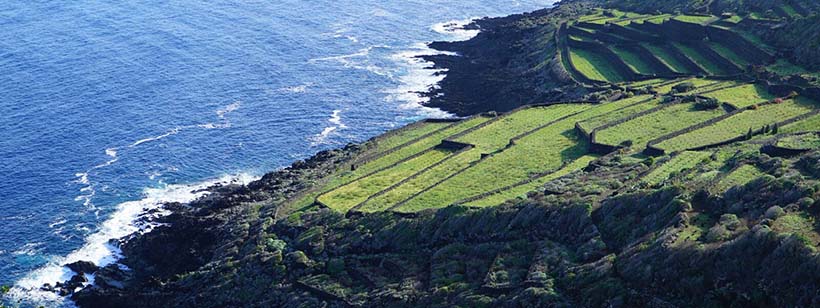 PASSITALY 2017: nuovi scenari per l’isola ed il Passito di Pantelleria