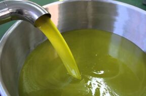 olio extravergine da olive appena molite